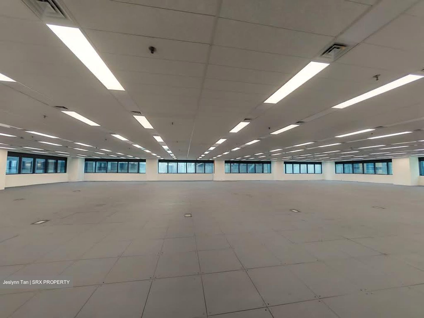 Robinson 77 (D1), Office #593488631